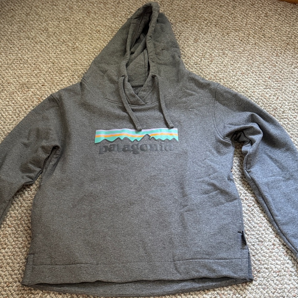 Patagonia Women’s Gray Hoodie with Colorful Logo Size XS